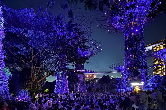 Singapore River Cruise, Night Garden Rhapsody and Spectra Tour - Gardens by the Bay: Garden Rhapsody at Supertree Grove