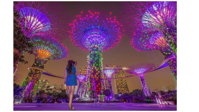 Singapore River Cruise, Spectra & Garden Rhapsody Light Show - Key highlights worth caring about