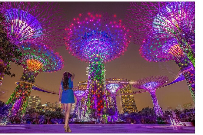 Singapore River Cruise with Spectra & Garden Rhapsody Light Show - Key highlights you’ll actually feel during the night