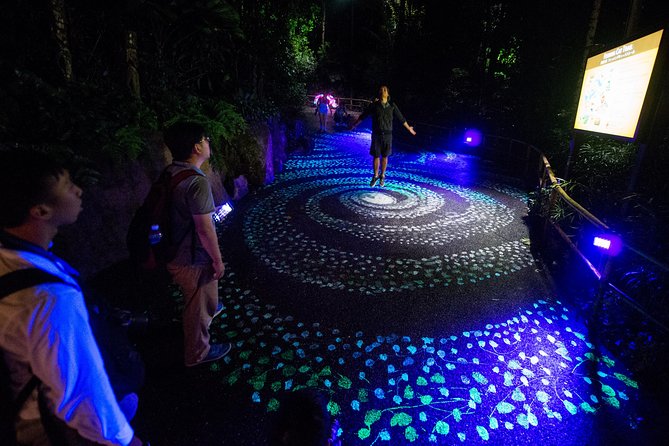 Singapore River & Night Safari-COMBO (Shared Transfer) - Should You Book the Singapore River & Night Safari Combo?