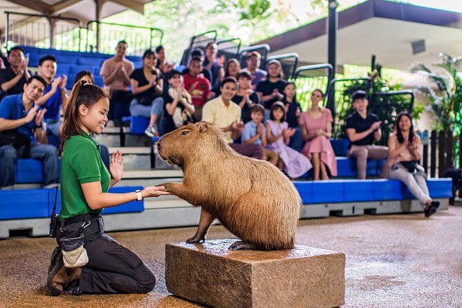 Singapore: River Wonders Entry Ticket - Giant Panda Forest: timing matters for Kai Kai and Jia Jia