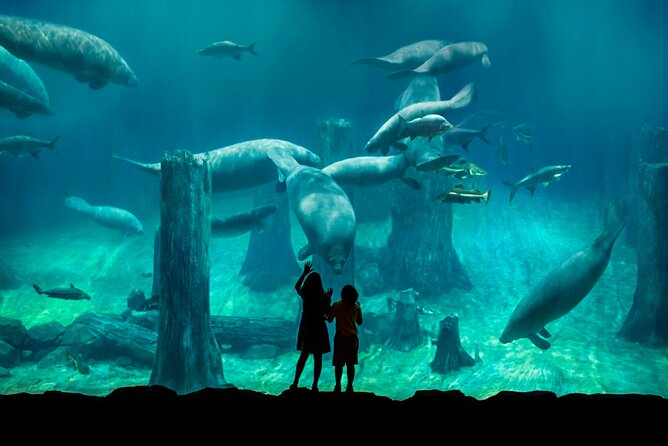 Singapore: River Wonders Entry Ticket - The river-animal mix: more than just fish