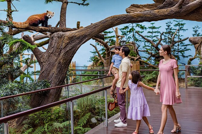 Singapore: River Wonders Entry Ticket - Amazon River Quest and Amazonia Encounter: what’s included vs extra