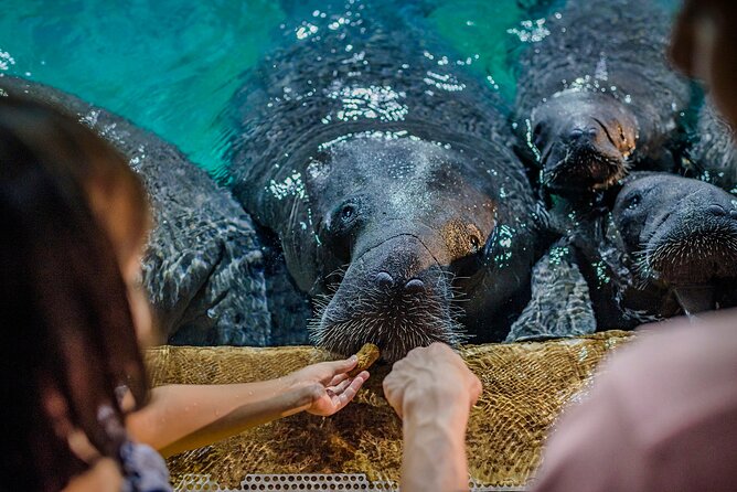 Singapore: River Wonders Entry Ticket - On-site comfort: small rules that help you enjoy more