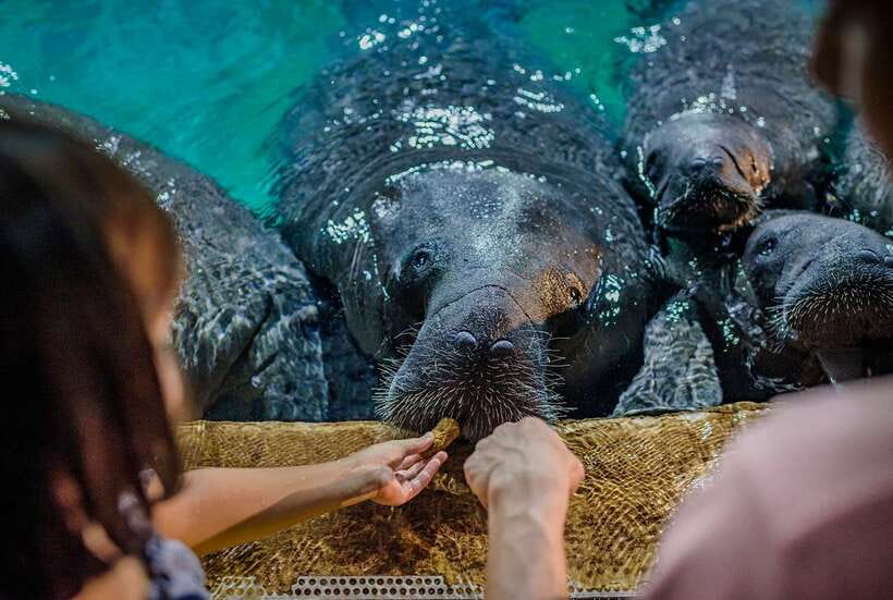Singapore: River Wonders Entry Ticket - Price and value: does $35 make sense?
