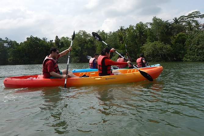 Singapore Round Ketam Kayaking Adventure in Pulau Ubin - Pulau Ubin and Pulau Ketam by Sea Kayak: What You’re Actually Doing