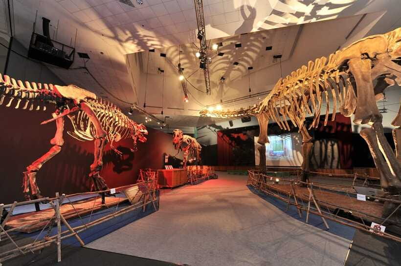 Singapore: Science Center E-Ticket - Science Centre energy: what makes it work for both kids and adults