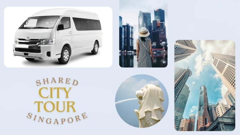 Singapore: Shared City Tour by Van/Bus - Singapore Flyer photo stop: a skyline view in about 20 minutes