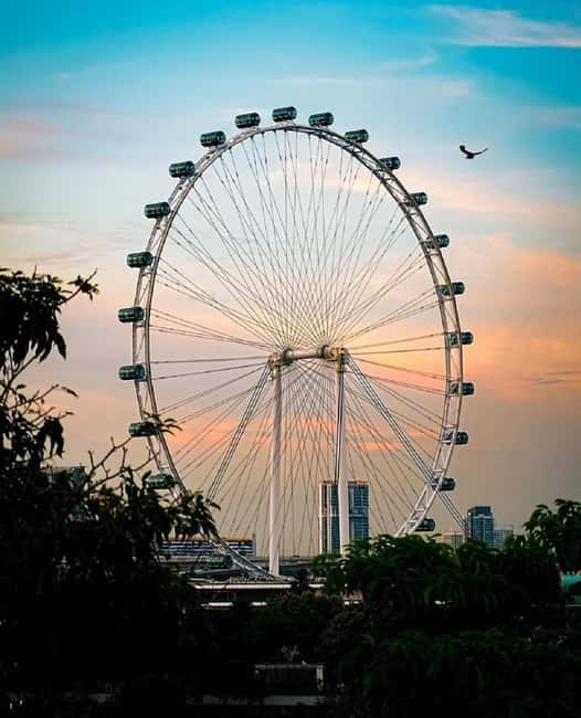 Singapore: Singapore Flyer Entry Ticket - Entering at Level 1 and using the Time Capsule gallery well