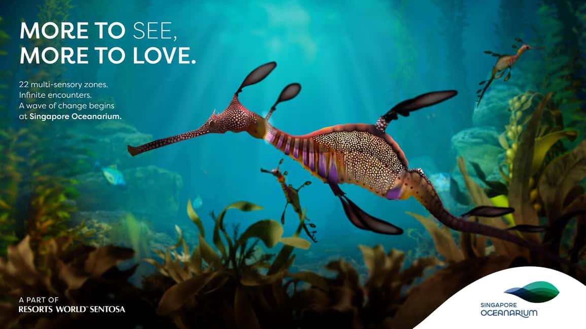 Singapore: Singapore Oceanarium Entrance Ticket - Price and value: what $43 buys you in a real day