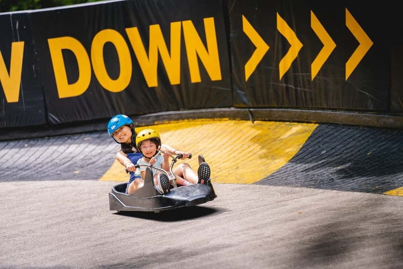 Singapore: Skyline Luge Sentosa Entry Ticket - Who this is best for (and who should skip it)