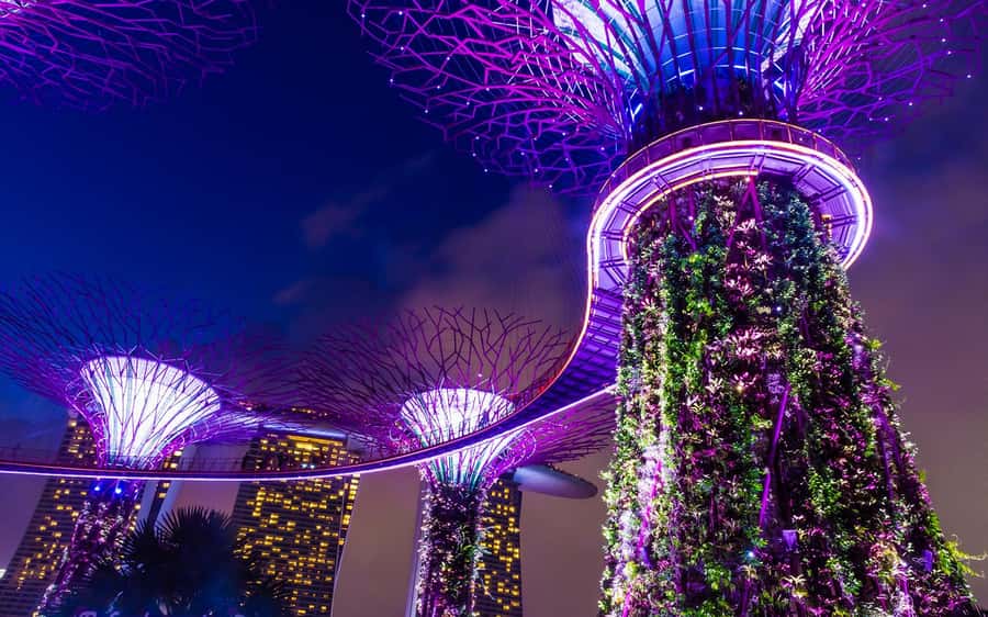 Singapore Starry Night: Cruise, Garden Rhapsody & Spectra - Marina Bay’s Spectra show: the main skyline moment