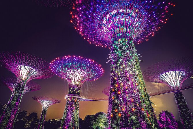 Singapore Starry Night Cruise, Garden Rhapsody & Spectra Show - Hotel pickup in the city area, and how group size really feels