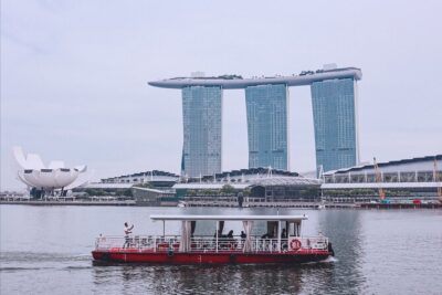 Singapore Starry Night Cruise, Garden Rhapsody & Spectra Show - Singapore Flyer and Merlion Park: fast photo stops with big payoff