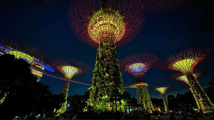 Singapore: Sunset River Cruise and Glittering Light Shows - Key things I’d circle on your Singapore night plan