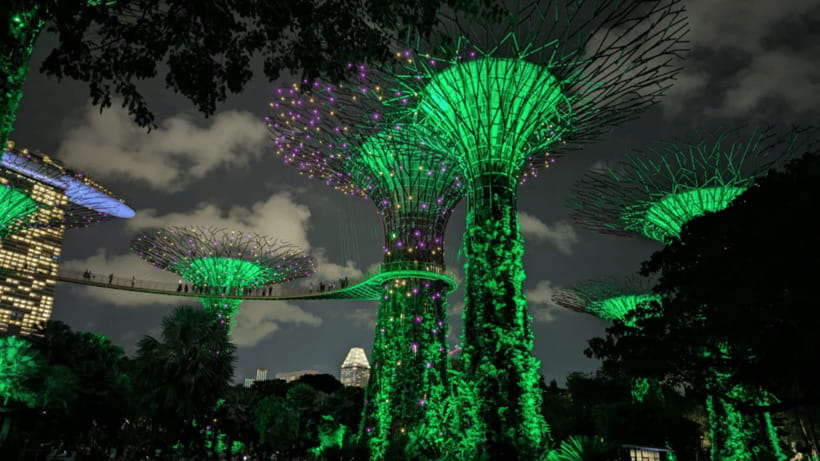 Singapore: Sunset River Cruise and Glittering Light Shows - Gardens by the Bay: Garden Rhapsody from Vintage Point