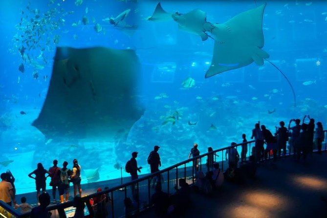 Singapore Universal Studio & S.E.A Aquarium-COMBO One-Day Pass(Shared transfer) - Where This Combo Happens on Sentosa Island