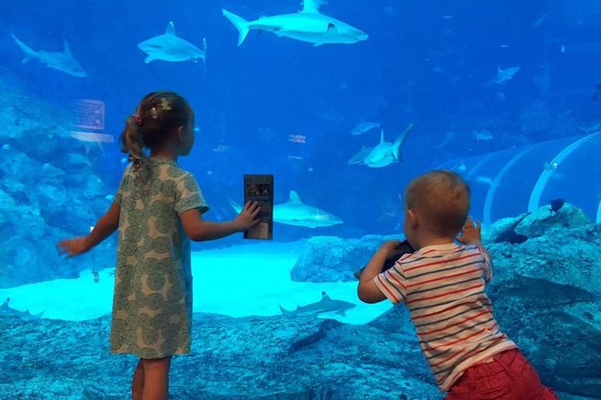 Singapore Universal Studio & S.E.A Aquarium-COMBO One-Day Pass(Shared transfer) - Universal Studios Singapore in One Day: 6 Hours Across the Movie Zones