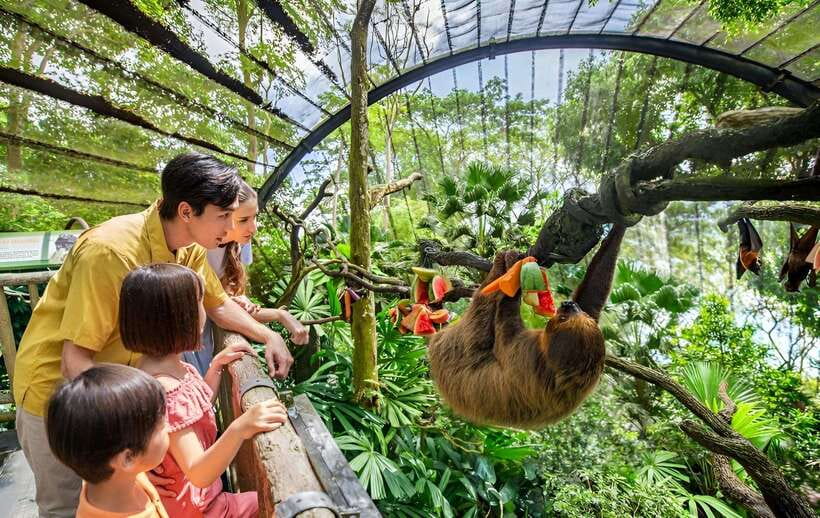 Singapore Zoo: 1-Day Entrance E-Ticket - The Animal Lineup That Makes This Worth the Price