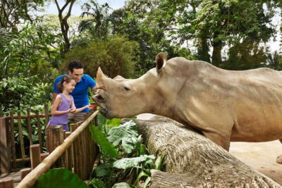 Singapore Zoo: 1-Day Entrance E-Ticket - Your 1-Day Game Plan: Tram Stops vs. Walking