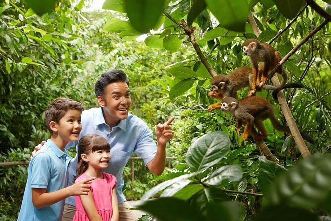 Singapore Zoo - Quick hits (what makes this one worth your time)