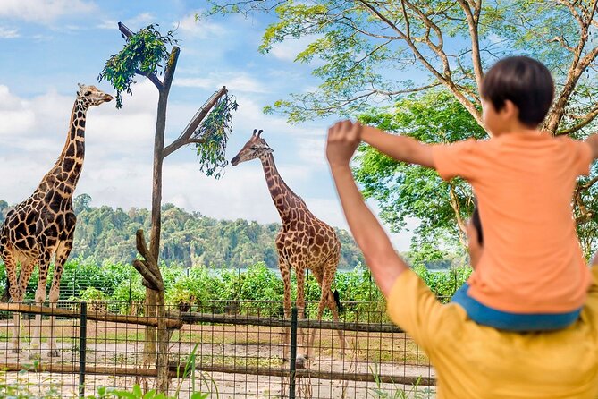 Singapore Zoo - Why Singapore Zoo Feels More Like Wildlife Than a Typical Zoo Day