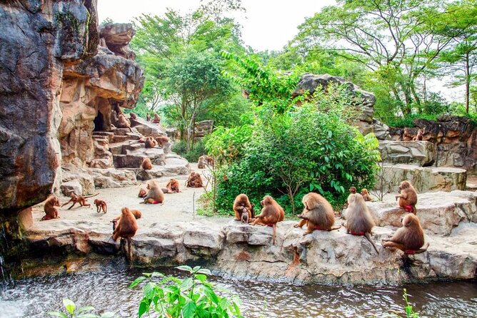 Singapore Zoo - Timing You Should Not Ignore: Last Admission and Late-Day Plans
