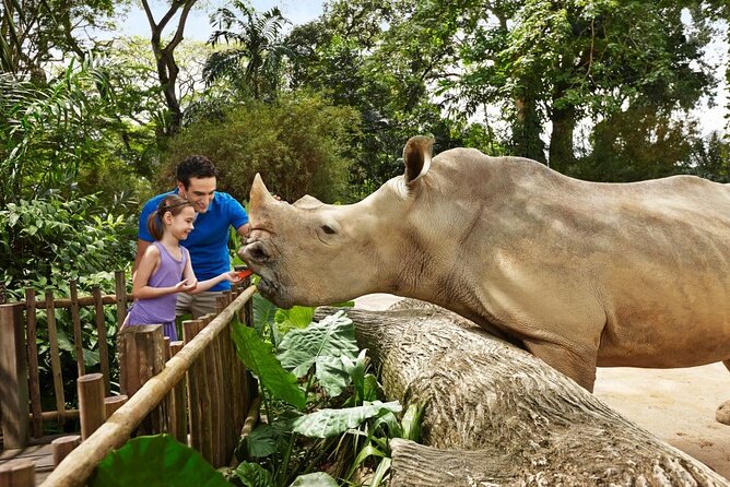 Singapore Zoo - Price and Value: Is $45.91 a Good Deal?