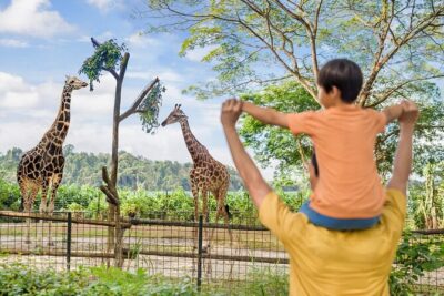Singapore Zoo Entry Ticket - Walk-through biodome: the close-up experience to plan around