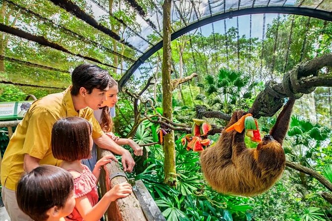 Singapore Zoo & Night Safari Day ( Tickets & Transfer ) - Singapore Zoo and Night Safari: A One-Stop Mandai Wildlife Day