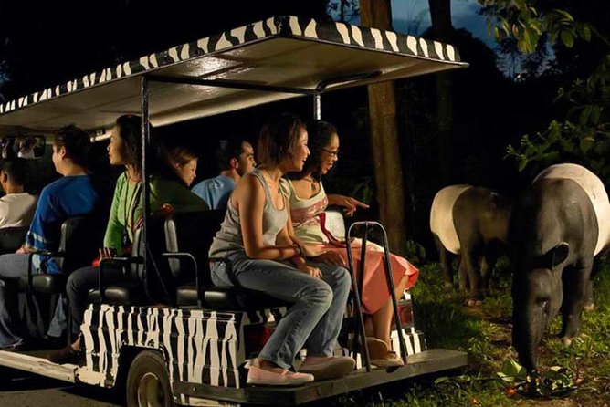 Singapore Zoo & Night Safari Day ( Tickets & Transfer ) - Inside Singapore Zoo: Open Habitats, Platforms, and Daytime Highlights