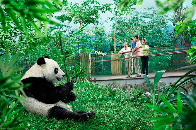 Singapore Zoo & Night Safari Day ( Tickets & Transfer ) - Walking Trails and Up-Close Encounters: Fishing Cat, Leopard, East Lodge, Wallaby