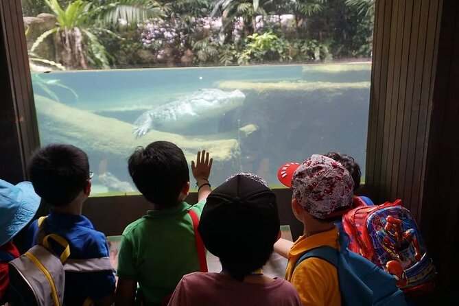 Singapore Zoo with Tram Ride Experience for Tourist - Getting a Smart Plan: Four to Six Hours Without Feeling Rushed
