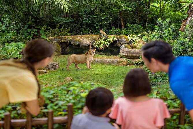 Singapore Zoo with Tram Ride Experience for Tourist - Best Time to Go and Why You Should Book a Date Slot