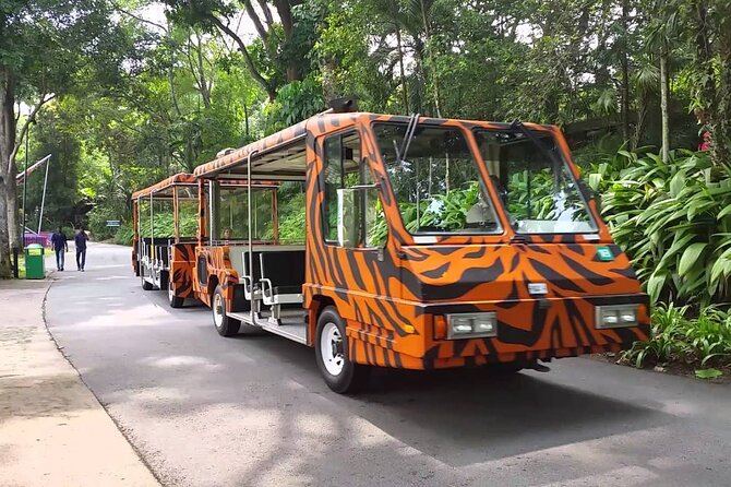 Singapore Zoo with Tram Ride Experience for Tourist - The Tram Ride with Audio Narration: Your Best First Move