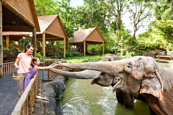 Singapore Zoo - What You Can Expect on a One-Day Visit