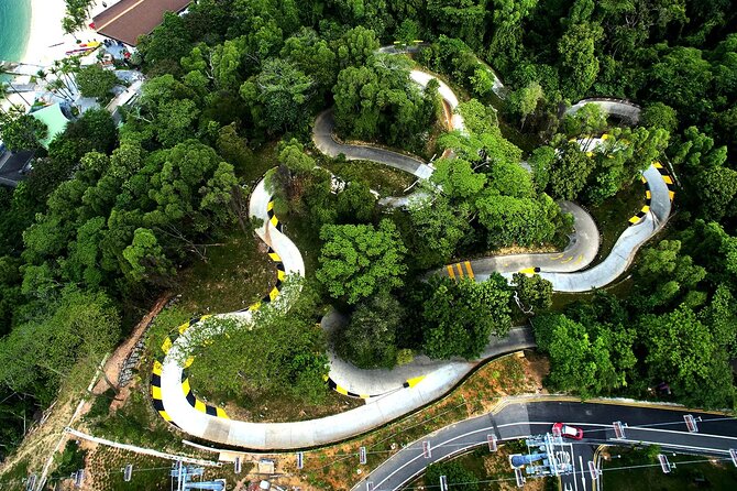 Skyline Luge and Sky Ride Singapore - The luge tracks: Jungle, Dragon, Kupu Kupu, Expedition