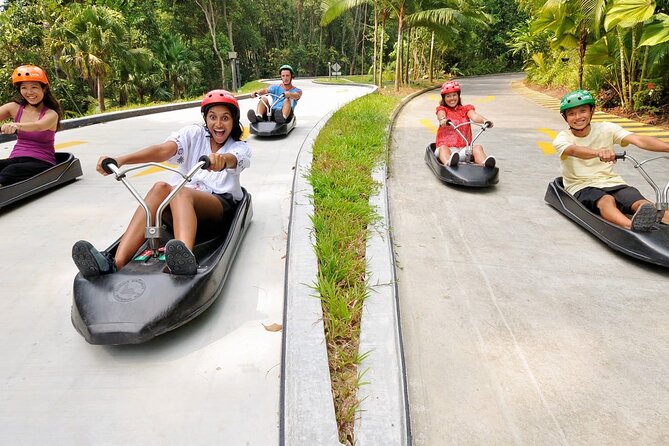 Skyline Luge and Skyride Admission Ticket sentosa Singapore - Choosing Your Track: Four Trails, Four Different Personalities