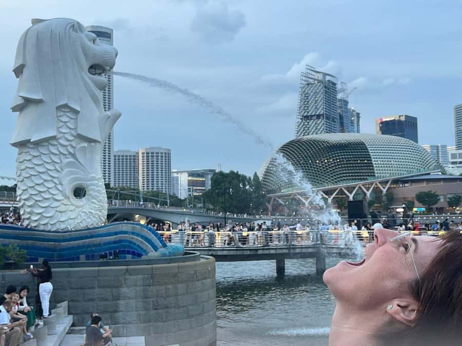 Spectra & Garden Rhapsody Shows with Singapore River Cruise - The 35-Minute Singapore River Cruise: Views, Landmarks, and Merlion Photos
