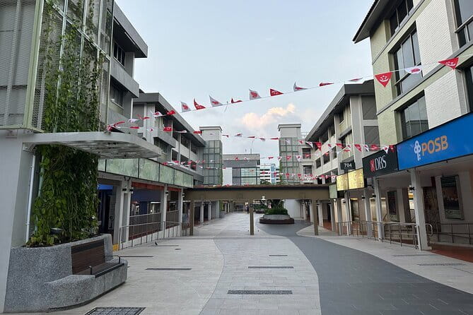 The Real Singapore Heartland Walking Food Tour - Price and Value: $80.71 Is About Access and Feeding You